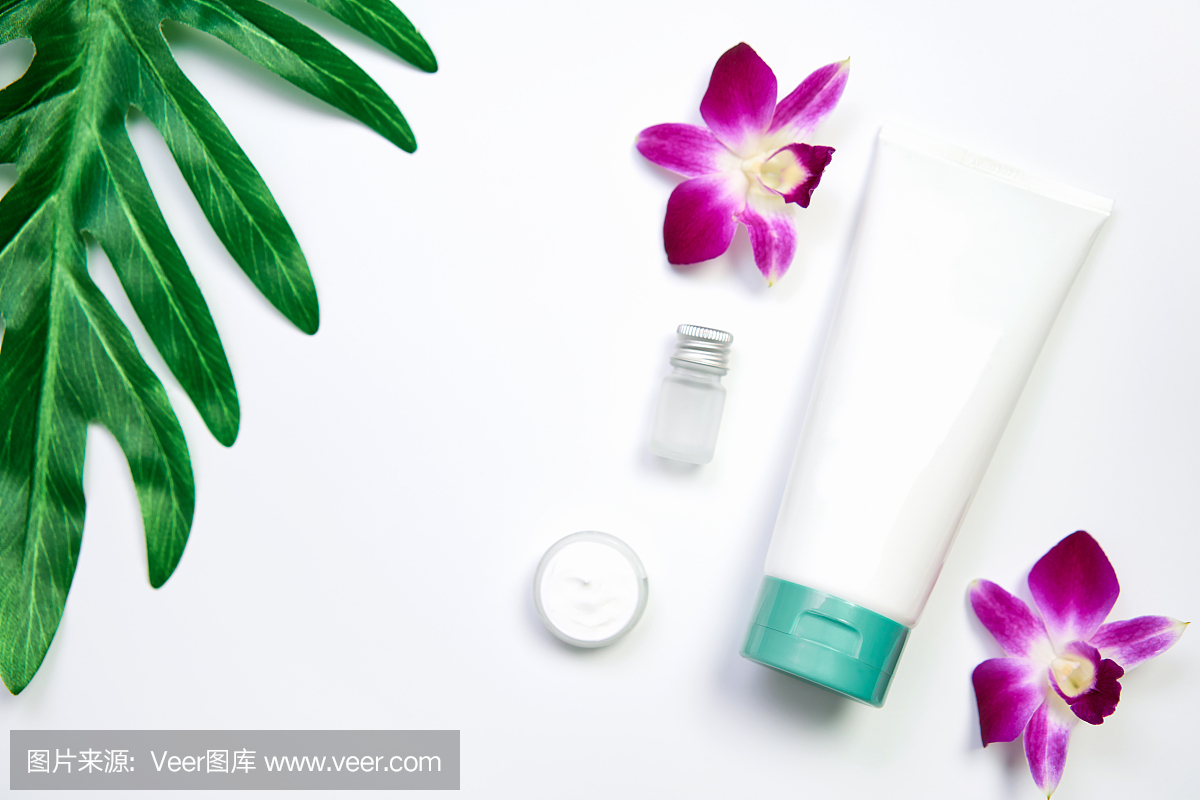化妆品膏霜瓶模型,空白标签包装和成分在一个绿叶背景。天然美容产品的概念。