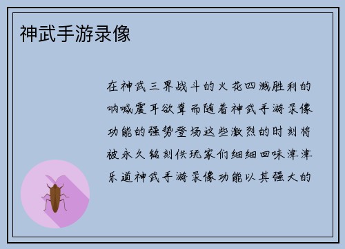 神武手游录像